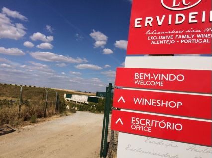 Ervideira Wine Shop Adega